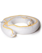 Barreras Absorbentes para Hidrocarburos