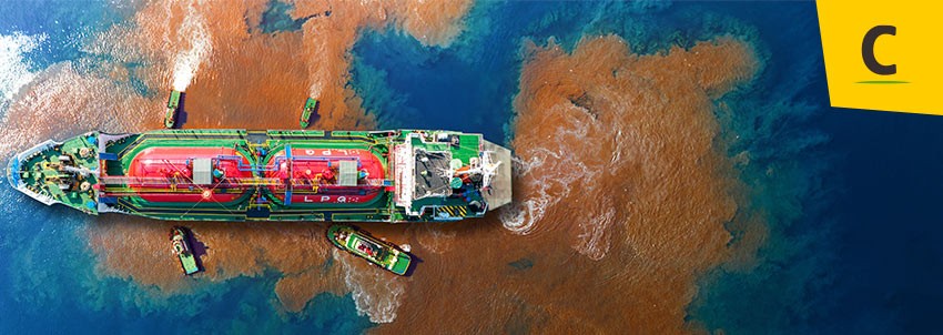 Medidas de protección del medio marino frente a los hidrocarburos